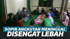 Amuk Keluarga Sopir Angkutan di Sulsel: Cuma Digigit Lebah Kok Diisolasi!