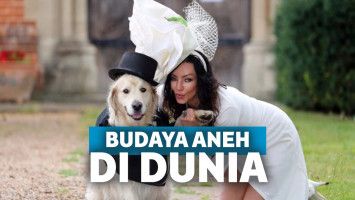 Menikah dengan anjing