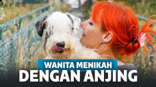 Hanya karena Alasan Sederhana Ini, Wanita di Irlandia Nikahi Anjing Peliharaannya
