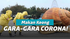 Ilustrasi makan bekicot karena kesulitan ekonomi di tengah pandemi corona