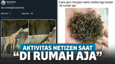 aktivitas netizen untuk menghilangkan bosan selama di rumah