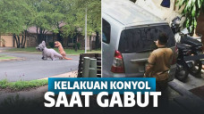 Kreativitas Orang- Orang Gabut Ini Tampak Konyol, Tapi Patut Ditiru