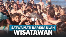 Potret Pilu Kematian Binatang Karena Kekejaman Wisatawan