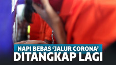 Cabuli Bocah hingga Curi Motor, 10 Napi di Jateng yang Bebas karena Corona Kembali Ditangkap!