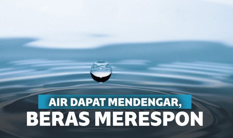 Partikel air