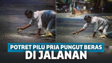 Pria tua yang punguti beras di jalanan