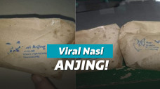 Bungkusan bantuan makanan "nasi anjing"