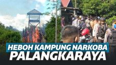 Bak Film Narcos, Kampung Narkoba di Palangkaraya Dibakar Polisi!