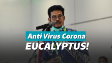 Menteri Pertanian Syahrul Yasin Limpo