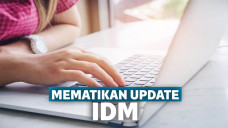 Mematikan Update IDM