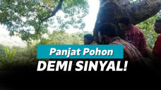 Kepala desa manjat pohon untuk dapat sinyal
