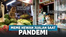 6 Meme Kocak Para Hewan yang Harus Bekerja di Tengah Pandemi Covid-19