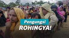 ilustrasi pengungsi Rohingya