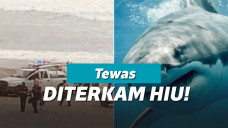 Abaikan Lockdown, Peselancar Tewas Diserang Hiu