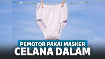 ilustrasi celana dalam