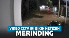 Screenshot video