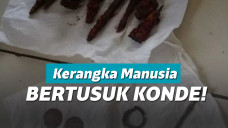 Warga dihebohkan dengan penemuan kerangka ketika menggali septic tank baru