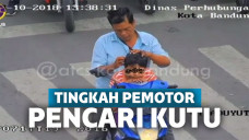 pengendara motor aneh