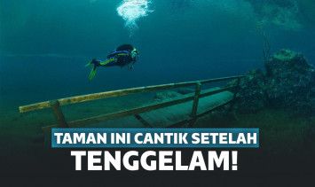 Taman jadi cantik setelah tenggelam