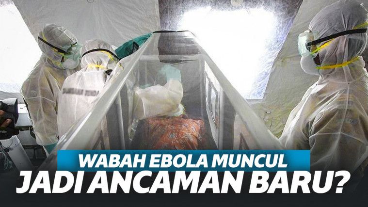 WHO Umumkan Wabah Virus Ebola Jenis Baru di Kongo, Ancaman Baru Dunia?