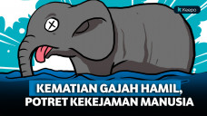 Kematian gajah hamil di India bikin netizen geram