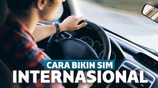 SIM internasional