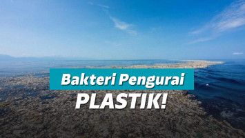 Sampah Plastik