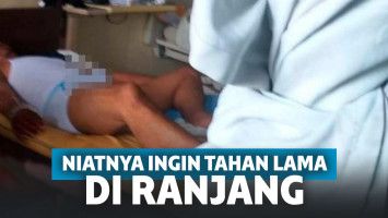 Nekat minum obat kuat untuk sapi