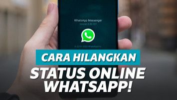 cara menghilangkan status online di wa