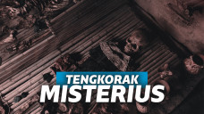 suami temukan tengkorak