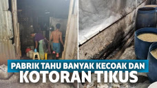 Pabrik tahu di Malaysia ketahuan jorok dan banyak kecoak