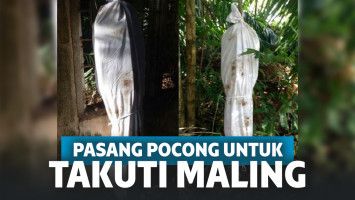 Pasang dua pocong di kebun