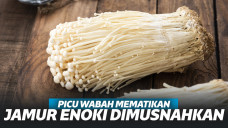 Diduga Picu Wabah Mematikan, Jamur Enoki Dimusnahkan Kementan
