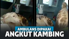 Screenshot video Instagram