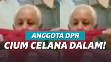 ilustrasi anggota dewan