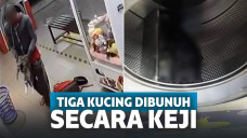 Facebook Malaysia Animal Association