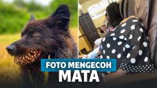 Foto-foto yang bikin mata kamu terkecoh