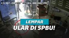 ilustrasi pria lempar ular