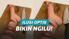 ilustrasi ilusi optik