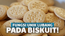 Fungsi lubang biskuit