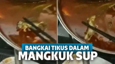 Bangkai tikus dalam semangkuk sup
