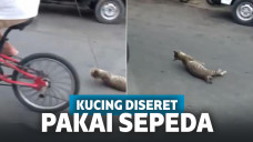 Screenshot video kucing diseret pakai sepeda