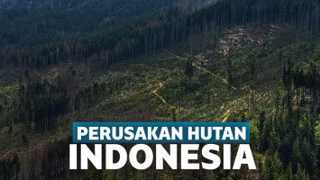 Deforestasi Indonesia
