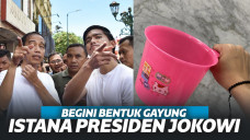 Terungkap! Begini Bentuk Gayung Dalam Istana Presiden, Bentuknya Gemas Warna Pink