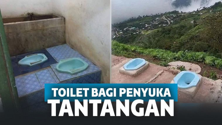 Desain toilet ngawur