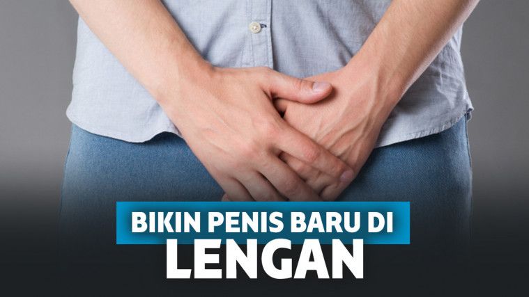 Ilustrasi alat kelamin pria