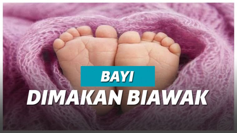 Ilustrasi bayi
