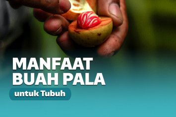 buah Pala