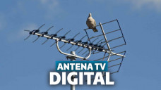 antena TV digital terbaik