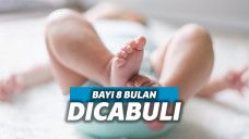 Ilustrasi bayi